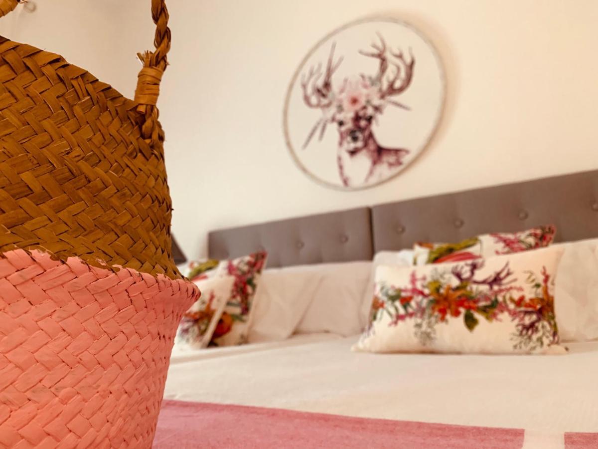 Casa Ruy Lopez Hotel Zafra Kültér fotó