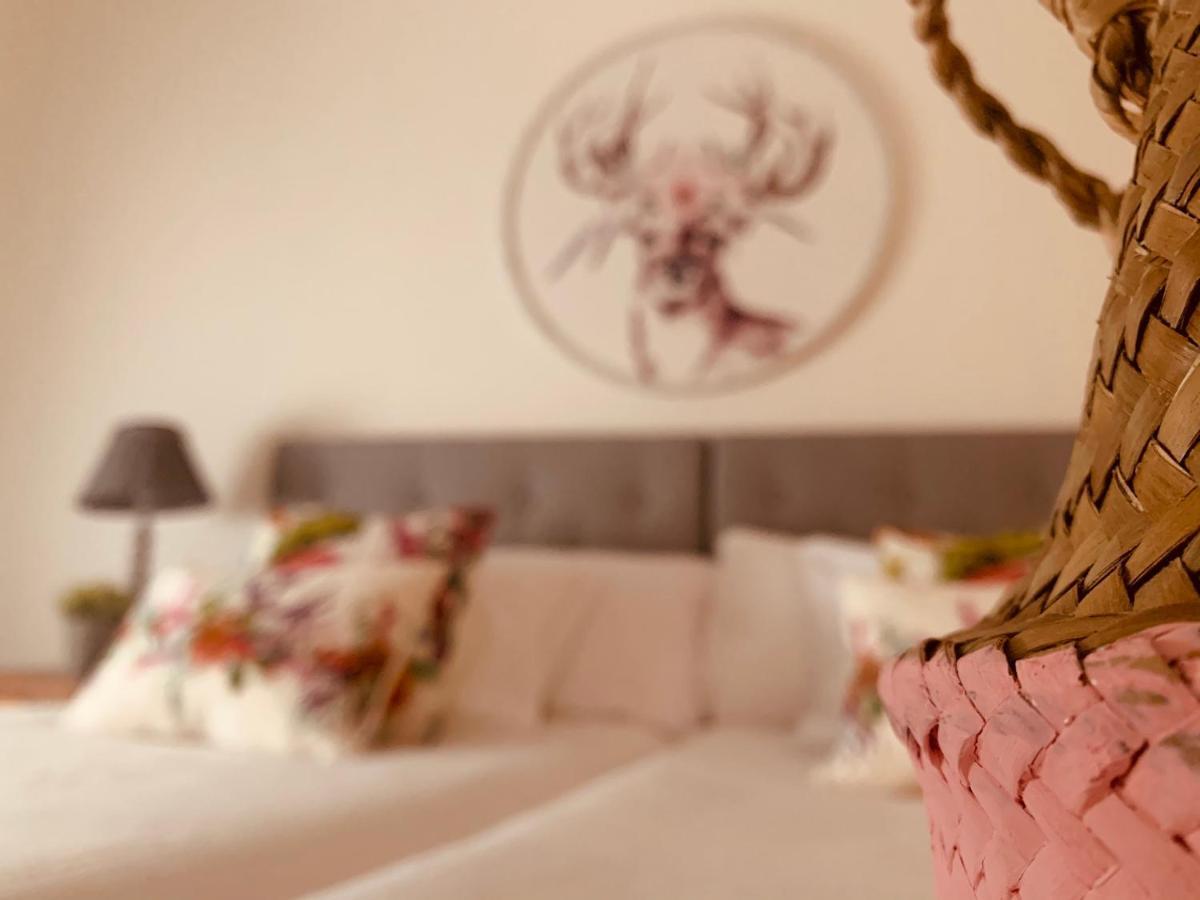 Casa Ruy Lopez Hotel Zafra Kültér fotó